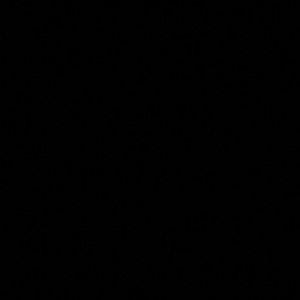 Meet your Posher, Connor